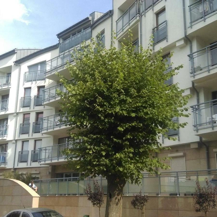 Apartament Flauta, Villa Marea Miedzyzdroje Kültér fotó